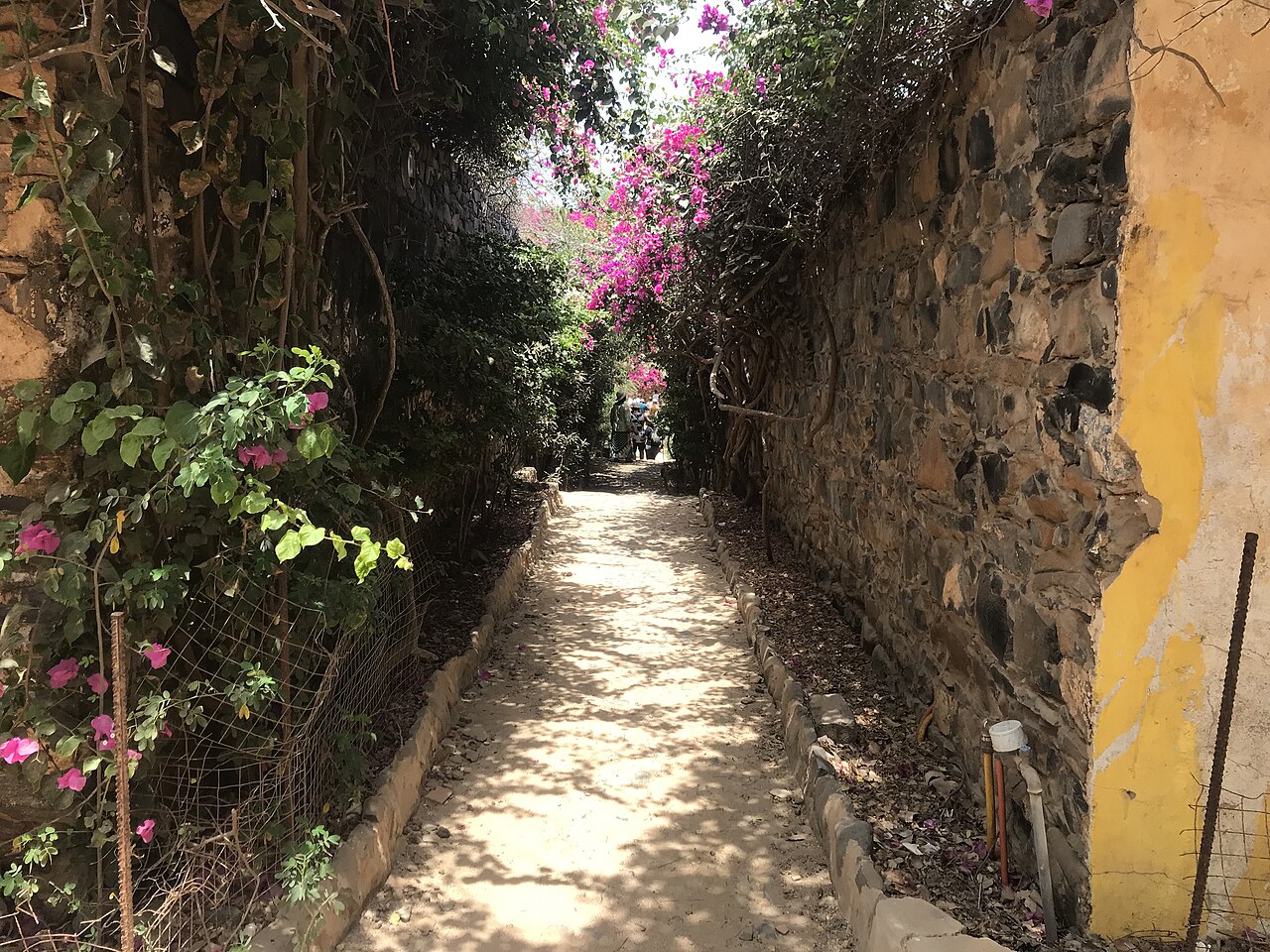 A quiet sandy lane on Gorée Island with pink flowers growing over old stone walls